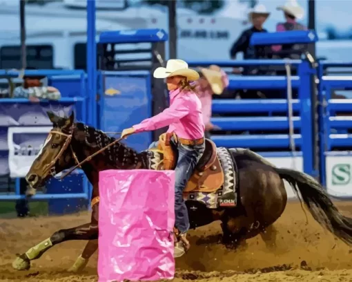 Barrel Racer Diamond Painting