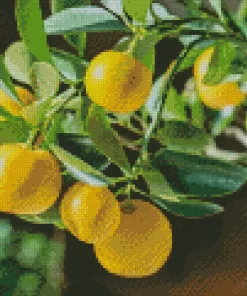 Lemon Plant Diamond Painting