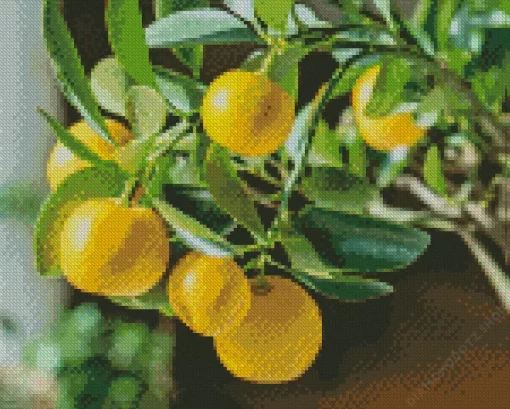 Lemon Plant Diamond Painting