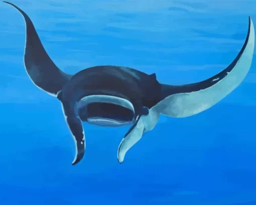 Manta Rays Diamond Painting