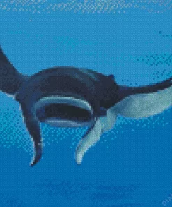 Manta Rays Diamond Painting