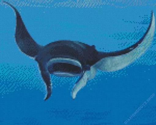 Manta Rays Diamond Painting