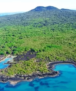 rangitoto island Diamond by numbers