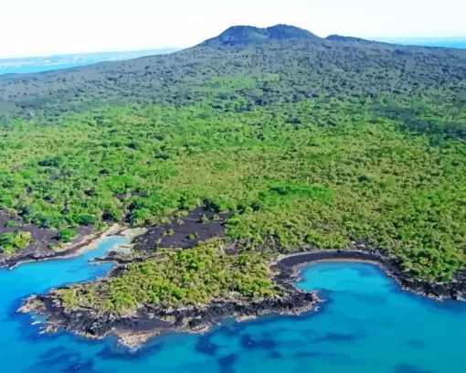 rangitoto island Diamond by numbers