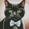 Black Cat By Bow Tie Diamond Painting