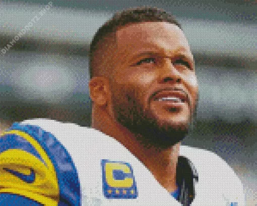 Aaron Donald Diamond Painting