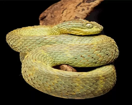 African Bush Viper Diamond Painting