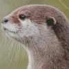 Asian Small Clawed Otter Diamond Painting