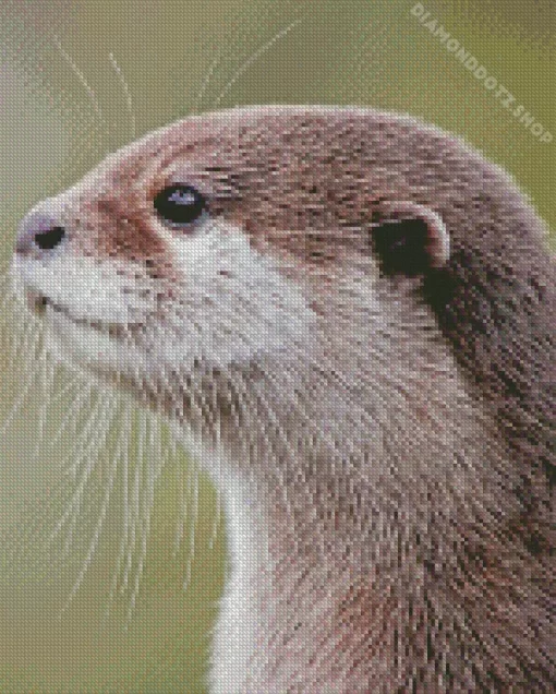 Asian Small Clawed Otter Diamond Painting