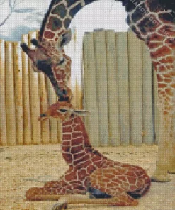 Baby And Mom Giraffe Diamond Painting