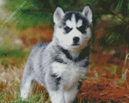 Baby Husky Diamond Painting