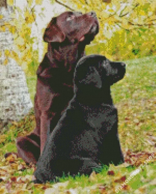 Black Vs Chocolate Lab Diamond Painting