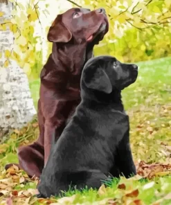 Black Vs Chocolate Lab Diamond Painting