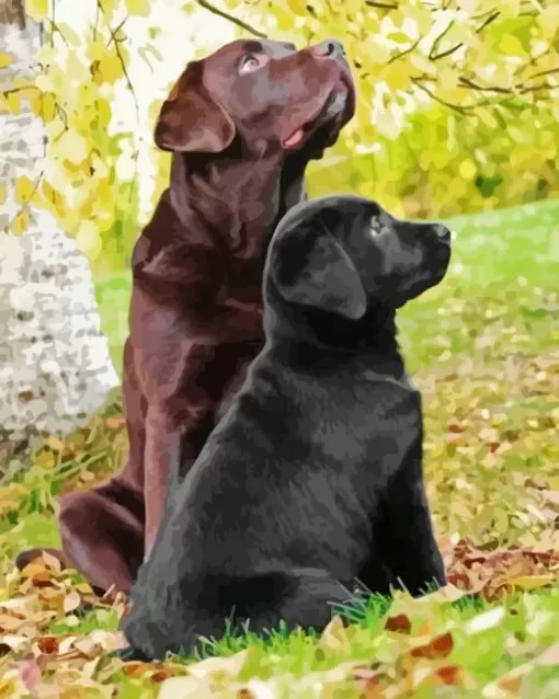 Black Vs Chocolate Lab Diamond Painting