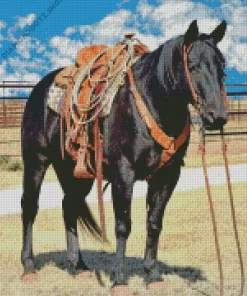 Black Western Horse Diamond Painting