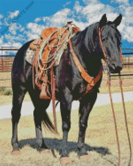 Black Western Horse Diamond Painting