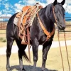 Black Western Horse Diamond Painting