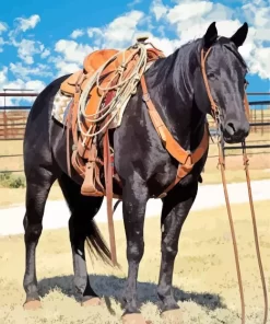 Black Western Horse Diamond Painting