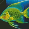 Queen Angelfish Diamond Painting