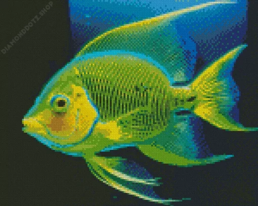 Queen Angelfish Diamond Painting