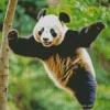 Excited Panda Playing Diamond Painting