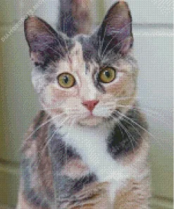 Grey Calico Cat Diamond Painting