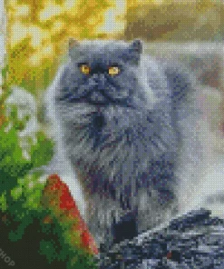 Grey Himalayan Persian Cat Diamond Painting